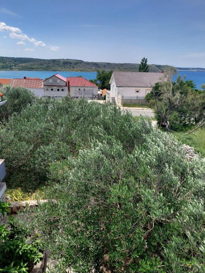 Apartmani Branka Rtina Εξωτερικό φωτογραφία